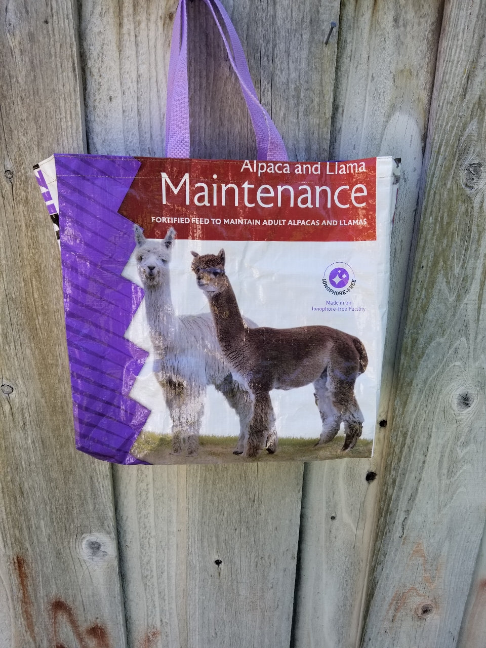 Llama Tote