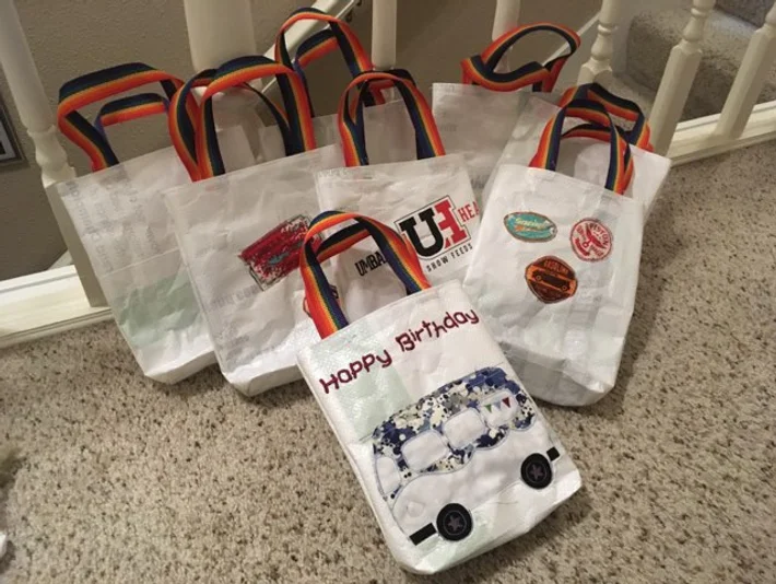 Boy Party Treat Bags (11 bags)