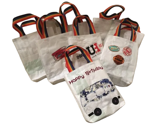 Boy Party Treat Bags (11 bags)