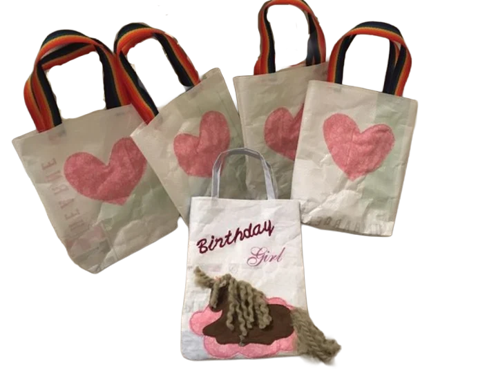 Girl Party Treat Bags (11 bags)