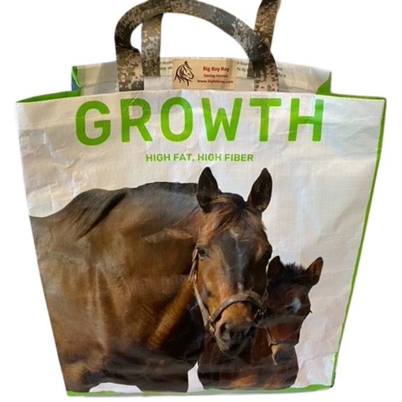 Horse Tote