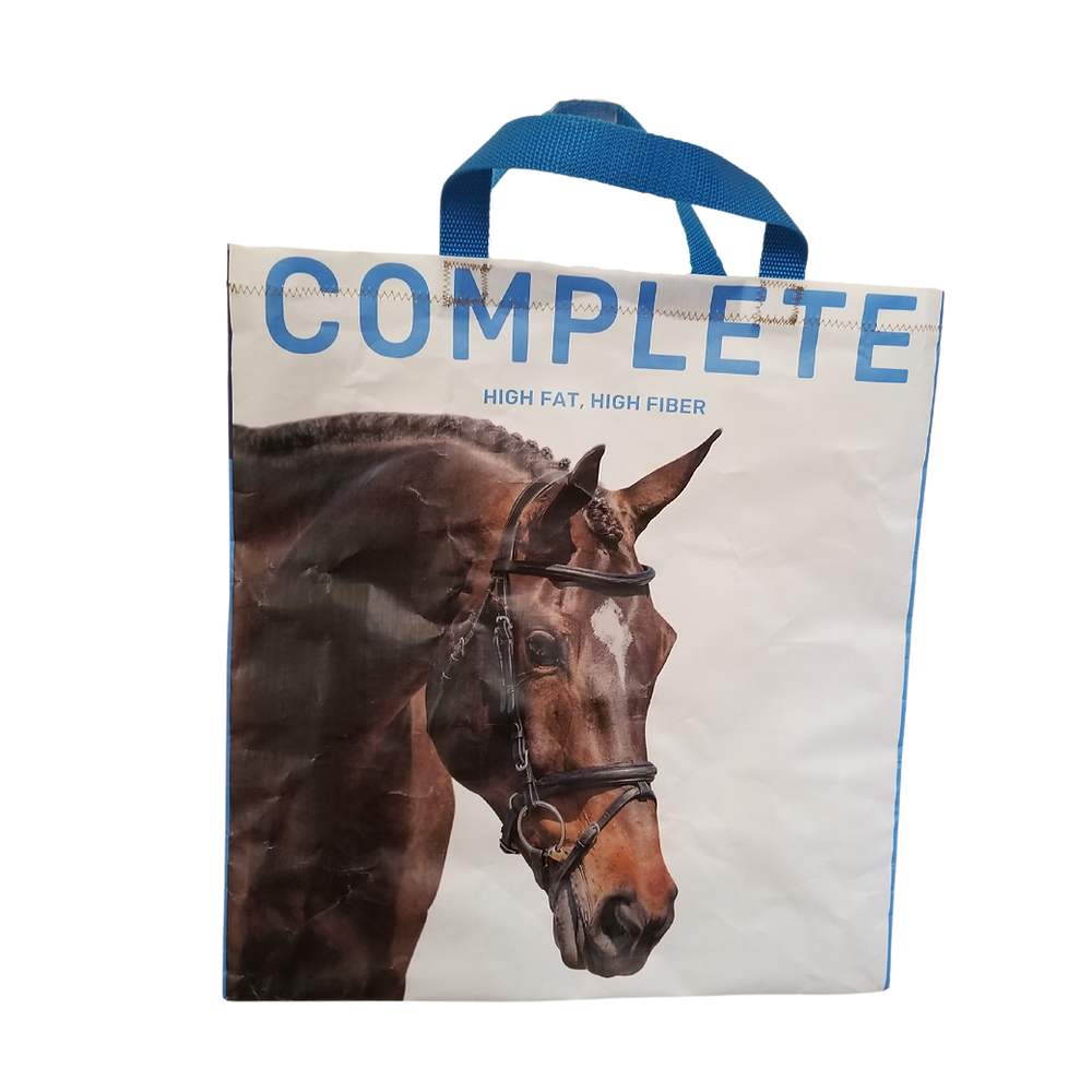 horse tote travel bag AMERICAN TOURISTER AMT 2016 Looking for a backpack Color:RiverRockGreen champagne/quartz