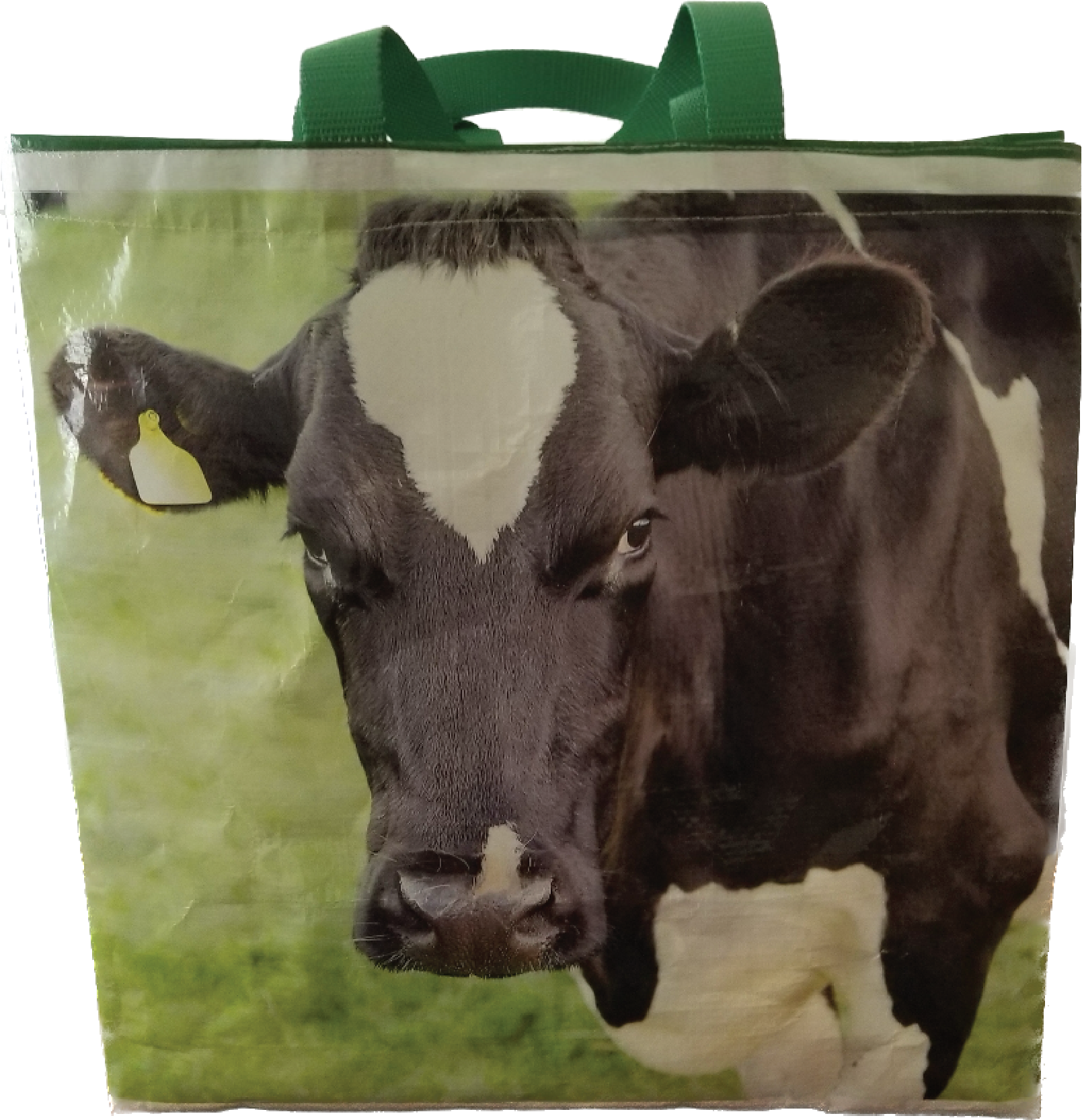 Hair-On Cow Print Vertical Crossbody Bag in Warm Tan | Dr. Martens