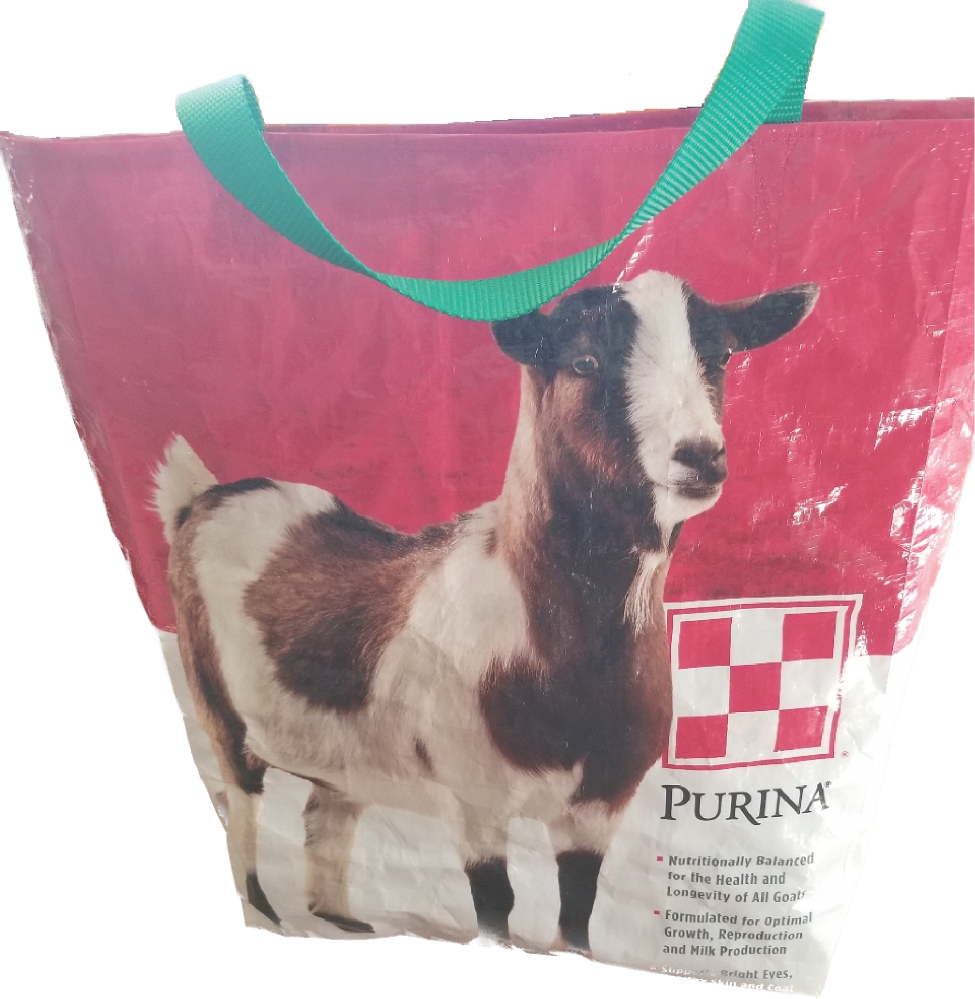 Goats tote new arrivals