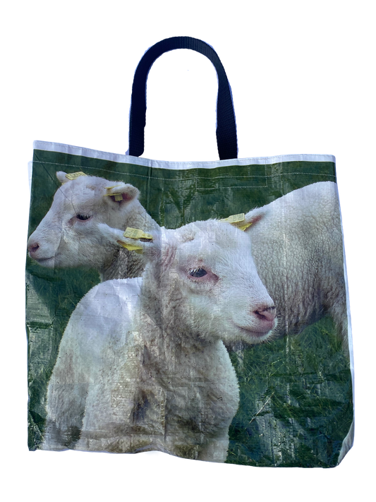 Sheep Tote